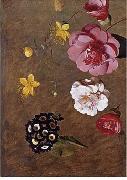 unknow artist Floral, beautiful classical still life of flowers.032 painting